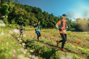 BIB: 
                            <button type="button" onclick="openModal(26679944)" class="btn btn-primary btn-sm float-right btn-popup" data-toggle="modal" data-target=".modal-high-quality">
                        <i class="fas fa-shopping-cart"></i> Add to Cart
                    </button>
                                            <button type="button" onclick="isThisMe(26679944, true)" class="btn btn-success btn-sm float-right btn-popup btn-isme hidden" data-toggle="tooltip" data-placement="bottom" title="นี่คือรูปของคุณใช่ไหม คลิกที่นี่เพื่อเอาเข้าอัลบั้ม">
                        <i class="fas fa-plus"></i> Add to album
                    </button>
                    <button type="button" onclick="isThisMe(26679944, false)" class="btn btn-warning btn-sm float-right btn-popup btn-isnotme hidden">
                        <i class="fas fa-ban"></i> Remove from album
                    </button>