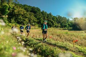 BIB: 
                            <button type="button" onclick="openModal(26638971)" class="btn btn-primary btn-sm float-right btn-popup" data-toggle="modal" data-target=".modal-high-quality">
                        <i class="fas fa-shopping-cart"></i> Add to Cart
                    </button>
                                            <button type="button" onclick="isThisMe(26638971, true)" class="btn btn-success btn-sm float-right btn-popup btn-isme hidden" data-toggle="tooltip" data-placement="bottom" title="นี่คือรูปของคุณใช่ไหม คลิกที่นี่เพื่อเอาเข้าอัลบั้ม">
                        <i class="fas fa-plus"></i> Add to album
                    </button>
                    <button type="button" onclick="isThisMe(26638971, false)" class="btn btn-warning btn-sm float-right btn-popup btn-isnotme hidden">
                        <i class="fas fa-ban"></i> Remove from album
                    </button>