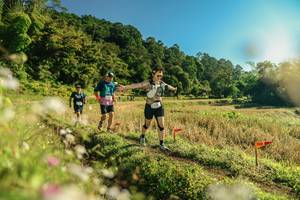 BIB: 
                            <button type="button" onclick="openModal(26637713)" class="btn btn-primary btn-sm float-right btn-popup" data-toggle="modal" data-target=".modal-high-quality">
                        <i class="fas fa-shopping-cart"></i> Add to Cart
                    </button>
                                            <button type="button" onclick="isThisMe(26637713, true)" class="btn btn-success btn-sm float-right btn-popup btn-isme hidden" data-toggle="tooltip" data-placement="bottom" title="นี่คือรูปของคุณใช่ไหม คลิกที่นี่เพื่อเอาเข้าอัลบั้ม">
                        <i class="fas fa-plus"></i> Add to album
                    </button>
                    <button type="button" onclick="isThisMe(26637713, false)" class="btn btn-warning btn-sm float-right btn-popup btn-isnotme hidden">
                        <i class="fas fa-ban"></i> Remove from album
                    </button>