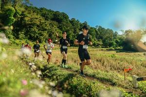 BIB: 
                            <button type="button" onclick="openModal(26638992)" class="btn btn-primary btn-sm float-right btn-popup" data-toggle="modal" data-target=".modal-high-quality">
                        <i class="fas fa-shopping-cart"></i> Add to Cart
                    </button>
                                            <button type="button" onclick="isThisMe(26638992, true)" class="btn btn-success btn-sm float-right btn-popup btn-isme hidden" data-toggle="tooltip" data-placement="bottom" title="นี่คือรูปของคุณใช่ไหม คลิกที่นี่เพื่อเอาเข้าอัลบั้ม">
                        <i class="fas fa-plus"></i> Add to album
                    </button>
                    <button type="button" onclick="isThisMe(26638992, false)" class="btn btn-warning btn-sm float-right btn-popup btn-isnotme hidden">
                        <i class="fas fa-ban"></i> Remove from album
                    </button>