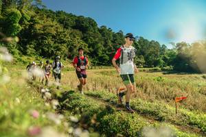 BIB: 
                            <button type="button" onclick="openModal(26638394)" class="btn btn-primary btn-sm float-right btn-popup" data-toggle="modal" data-target=".modal-high-quality">
                        <i class="fas fa-shopping-cart"></i> Add to Cart
                    </button>
                                            <button type="button" onclick="isThisMe(26638394, true)" class="btn btn-success btn-sm float-right btn-popup btn-isme hidden" data-toggle="tooltip" data-placement="bottom" title="นี่คือรูปของคุณใช่ไหม คลิกที่นี่เพื่อเอาเข้าอัลบั้ม">
                        <i class="fas fa-plus"></i> Add to album
                    </button>
                    <button type="button" onclick="isThisMe(26638394, false)" class="btn btn-warning btn-sm float-right btn-popup btn-isnotme hidden">
                        <i class="fas fa-ban"></i> Remove from album
                    </button>