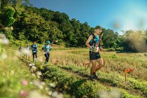 BIB: 
                            <button type="button" onclick="openModal(26638875)" class="btn btn-primary btn-sm float-right btn-popup" data-toggle="modal" data-target=".modal-high-quality">
                        <i class="fas fa-shopping-cart"></i> Add to Cart
                    </button>
                                            <button type="button" onclick="isThisMe(26638875, true)" class="btn btn-success btn-sm float-right btn-popup btn-isme hidden" data-toggle="tooltip" data-placement="bottom" title="นี่คือรูปของคุณใช่ไหม คลิกที่นี่เพื่อเอาเข้าอัลบั้ม">
                        <i class="fas fa-plus"></i> Add to album
                    </button>
                    <button type="button" onclick="isThisMe(26638875, false)" class="btn btn-warning btn-sm float-right btn-popup btn-isnotme hidden">
                        <i class="fas fa-ban"></i> Remove from album
                    </button>