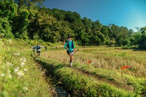 BIB: 
                            <button type="button" onclick="openModal(26694437)" class="btn btn-primary btn-sm float-right btn-popup" data-toggle="modal" data-target=".modal-high-quality">
                        <i class="fas fa-shopping-cart"></i> Add to Cart
                    </button>
                                            <button type="button" onclick="isThisMe(26694437, true)" class="btn btn-success btn-sm float-right btn-popup btn-isme hidden" data-toggle="tooltip" data-placement="bottom" title="นี่คือรูปของคุณใช่ไหม คลิกที่นี่เพื่อเอาเข้าอัลบั้ม">
                        <i class="fas fa-plus"></i> Add to album
                    </button>
                    <button type="button" onclick="isThisMe(26694437, false)" class="btn btn-warning btn-sm float-right btn-popup btn-isnotme hidden">
                        <i class="fas fa-ban"></i> Remove from album
                    </button>