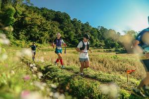 BIB: 
                            <button type="button" onclick="openModal(26636899)" class="btn btn-primary btn-sm float-right btn-popup" data-toggle="modal" data-target=".modal-high-quality">
                        <i class="fas fa-shopping-cart"></i> Add to Cart
                    </button>
                                            <button type="button" onclick="isThisMe(26636899, true)" class="btn btn-success btn-sm float-right btn-popup btn-isme hidden" data-toggle="tooltip" data-placement="bottom" title="นี่คือรูปของคุณใช่ไหม คลิกที่นี่เพื่อเอาเข้าอัลบั้ม">
                        <i class="fas fa-plus"></i> Add to album
                    </button>
                    <button type="button" onclick="isThisMe(26636899, false)" class="btn btn-warning btn-sm float-right btn-popup btn-isnotme hidden">
                        <i class="fas fa-ban"></i> Remove from album
                    </button>