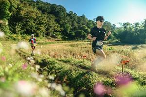 BIB: 
                            <button type="button" onclick="openModal(26634127)" class="btn btn-primary btn-sm float-right btn-popup" data-toggle="modal" data-target=".modal-high-quality">
                        <i class="fas fa-shopping-cart"></i> Add to Cart
                    </button>
                                            <button type="button" onclick="isThisMe(26634127, true)" class="btn btn-success btn-sm float-right btn-popup btn-isme hidden" data-toggle="tooltip" data-placement="bottom" title="นี่คือรูปของคุณใช่ไหม คลิกที่นี่เพื่อเอาเข้าอัลบั้ม">
                        <i class="fas fa-plus"></i> Add to album
                    </button>
                    <button type="button" onclick="isThisMe(26634127, false)" class="btn btn-warning btn-sm float-right btn-popup btn-isnotme hidden">
                        <i class="fas fa-ban"></i> Remove from album
                    </button>