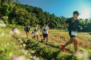 BIB: 
                            <button type="button" onclick="openModal(26637179)" class="btn btn-primary btn-sm float-right btn-popup" data-toggle="modal" data-target=".modal-high-quality">
                        <i class="fas fa-shopping-cart"></i> Add to Cart
                    </button>
                                            <button type="button" onclick="isThisMe(26637179, true)" class="btn btn-success btn-sm float-right btn-popup btn-isme hidden" data-toggle="tooltip" data-placement="bottom" title="นี่คือรูปของคุณใช่ไหม คลิกที่นี่เพื่อเอาเข้าอัลบั้ม">
                        <i class="fas fa-plus"></i> Add to album
                    </button>
                    <button type="button" onclick="isThisMe(26637179, false)" class="btn btn-warning btn-sm float-right btn-popup btn-isnotme hidden">
                        <i class="fas fa-ban"></i> Remove from album
                    </button>