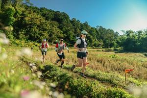 BIB: 
                            <button type="button" onclick="openModal(26637438)" class="btn btn-primary btn-sm float-right btn-popup" data-toggle="modal" data-target=".modal-high-quality">
                        <i class="fas fa-shopping-cart"></i> Add to Cart
                    </button>
                                            <button type="button" onclick="isThisMe(26637438, true)" class="btn btn-success btn-sm float-right btn-popup btn-isme hidden" data-toggle="tooltip" data-placement="bottom" title="นี่คือรูปของคุณใช่ไหม คลิกที่นี่เพื่อเอาเข้าอัลบั้ม">
                        <i class="fas fa-plus"></i> Add to album
                    </button>
                    <button type="button" onclick="isThisMe(26637438, false)" class="btn btn-warning btn-sm float-right btn-popup btn-isnotme hidden">
                        <i class="fas fa-ban"></i> Remove from album
                    </button>