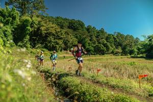 BIB: 
                            <button type="button" onclick="openModal(26717193)" class="btn btn-primary btn-sm float-right btn-popup" data-toggle="modal" data-target=".modal-high-quality">
                        <i class="fas fa-shopping-cart"></i> Add to Cart
                    </button>
                                            <button type="button" onclick="isThisMe(26717193, true)" class="btn btn-success btn-sm float-right btn-popup btn-isme hidden" data-toggle="tooltip" data-placement="bottom" title="นี่คือรูปของคุณใช่ไหม คลิกที่นี่เพื่อเอาเข้าอัลบั้ม">
                        <i class="fas fa-plus"></i> Add to album
                    </button>
                    <button type="button" onclick="isThisMe(26717193, false)" class="btn btn-warning btn-sm float-right btn-popup btn-isnotme hidden">
                        <i class="fas fa-ban"></i> Remove from album
                    </button>