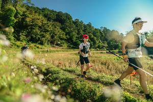 BIB: 
                            <button type="button" onclick="openModal(26636947)" class="btn btn-primary btn-sm float-right btn-popup" data-toggle="modal" data-target=".modal-high-quality">
                        <i class="fas fa-shopping-cart"></i> Add to Cart
                    </button>
                                            <button type="button" onclick="isThisMe(26636947, true)" class="btn btn-success btn-sm float-right btn-popup btn-isme hidden" data-toggle="tooltip" data-placement="bottom" title="นี่คือรูปของคุณใช่ไหม คลิกที่นี่เพื่อเอาเข้าอัลบั้ม">
                        <i class="fas fa-plus"></i> Add to album
                    </button>
                    <button type="button" onclick="isThisMe(26636947, false)" class="btn btn-warning btn-sm float-right btn-popup btn-isnotme hidden">
                        <i class="fas fa-ban"></i> Remove from album
                    </button>