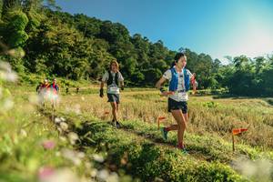 BIB: 
                            <button type="button" onclick="openModal(26637285)" class="btn btn-primary btn-sm float-right btn-popup" data-toggle="modal" data-target=".modal-high-quality">
                        <i class="fas fa-shopping-cart"></i> Add to Cart
                    </button>
                                            <button type="button" onclick="isThisMe(26637285, true)" class="btn btn-success btn-sm float-right btn-popup btn-isme hidden" data-toggle="tooltip" data-placement="bottom" title="นี่คือรูปของคุณใช่ไหม คลิกที่นี่เพื่อเอาเข้าอัลบั้ม">
                        <i class="fas fa-plus"></i> Add to album
                    </button>
                    <button type="button" onclick="isThisMe(26637285, false)" class="btn btn-warning btn-sm float-right btn-popup btn-isnotme hidden">
                        <i class="fas fa-ban"></i> Remove from album
                    </button>