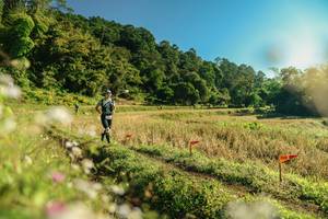 BIB: 
                            <button type="button" onclick="openModal(26637777)" class="btn btn-primary btn-sm float-right btn-popup" data-toggle="modal" data-target=".modal-high-quality">
                        <i class="fas fa-shopping-cart"></i> Add to Cart
                    </button>
                                            <button type="button" onclick="isThisMe(26637777, true)" class="btn btn-success btn-sm float-right btn-popup btn-isme hidden" data-toggle="tooltip" data-placement="bottom" title="นี่คือรูปของคุณใช่ไหม คลิกที่นี่เพื่อเอาเข้าอัลบั้ม">
                        <i class="fas fa-plus"></i> Add to album
                    </button>
                    <button type="button" onclick="isThisMe(26637777, false)" class="btn btn-warning btn-sm float-right btn-popup btn-isnotme hidden">
                        <i class="fas fa-ban"></i> Remove from album
                    </button>