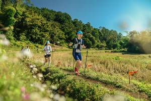 BIB: 
                            <button type="button" onclick="openModal(26687487)" class="btn btn-primary btn-sm float-right btn-popup" data-toggle="modal" data-target=".modal-high-quality">
                        <i class="fas fa-shopping-cart"></i> Add to Cart
                    </button>
                                            <button type="button" onclick="isThisMe(26687487, true)" class="btn btn-success btn-sm float-right btn-popup btn-isme hidden" data-toggle="tooltip" data-placement="bottom" title="นี่คือรูปของคุณใช่ไหม คลิกที่นี่เพื่อเอาเข้าอัลบั้ม">
                        <i class="fas fa-plus"></i> Add to album
                    </button>
                    <button type="button" onclick="isThisMe(26687487, false)" class="btn btn-warning btn-sm float-right btn-popup btn-isnotme hidden">
                        <i class="fas fa-ban"></i> Remove from album
                    </button>