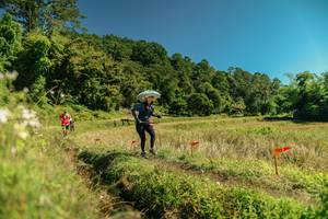 BIB: 
                            <button type="button" onclick="openModal(26719698)" class="btn btn-primary btn-sm float-right btn-popup" data-toggle="modal" data-target=".modal-high-quality">
                        <i class="fas fa-shopping-cart"></i> Add to Cart
                    </button>
                                            <button type="button" onclick="isThisMe(26719698, true)" class="btn btn-success btn-sm float-right btn-popup btn-isme hidden" data-toggle="tooltip" data-placement="bottom" title="นี่คือรูปของคุณใช่ไหม คลิกที่นี่เพื่อเอาเข้าอัลบั้ม">
                        <i class="fas fa-plus"></i> Add to album
                    </button>
                    <button type="button" onclick="isThisMe(26719698, false)" class="btn btn-warning btn-sm float-right btn-popup btn-isnotme hidden">
                        <i class="fas fa-ban"></i> Remove from album
                    </button>