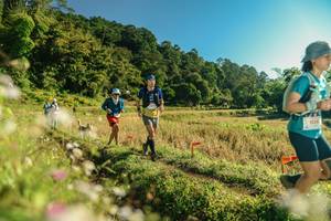 BIB: 
                            <button type="button" onclick="openModal(26637203)" class="btn btn-primary btn-sm float-right btn-popup" data-toggle="modal" data-target=".modal-high-quality">
                        <i class="fas fa-shopping-cart"></i> Add to Cart
                    </button>
                                            <button type="button" onclick="isThisMe(26637203, true)" class="btn btn-success btn-sm float-right btn-popup btn-isme hidden" data-toggle="tooltip" data-placement="bottom" title="นี่คือรูปของคุณใช่ไหม คลิกที่นี่เพื่อเอาเข้าอัลบั้ม">
                        <i class="fas fa-plus"></i> Add to album
                    </button>
                    <button type="button" onclick="isThisMe(26637203, false)" class="btn btn-warning btn-sm float-right btn-popup btn-isnotme hidden">
                        <i class="fas fa-ban"></i> Remove from album
                    </button>