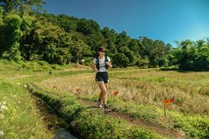 BIB: 
                            <button type="button" onclick="openModal(26716029)" class="btn btn-primary btn-sm float-right btn-popup" data-toggle="modal" data-target=".modal-high-quality">
                        <i class="fas fa-shopping-cart"></i> Add to Cart
                    </button>
                                            <button type="button" onclick="isThisMe(26716029, true)" class="btn btn-success btn-sm float-right btn-popup btn-isme hidden" data-toggle="tooltip" data-placement="bottom" title="นี่คือรูปของคุณใช่ไหม คลิกที่นี่เพื่อเอาเข้าอัลบั้ม">
                        <i class="fas fa-plus"></i> Add to album
                    </button>
                    <button type="button" onclick="isThisMe(26716029, false)" class="btn btn-warning btn-sm float-right btn-popup btn-isnotme hidden">
                        <i class="fas fa-ban"></i> Remove from album
                    </button>