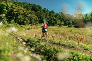 BIB: 
                            <button type="button" onclick="openModal(26699493)" class="btn btn-primary btn-sm float-right btn-popup" data-toggle="modal" data-target=".modal-high-quality">
                        <i class="fas fa-shopping-cart"></i> Add to Cart
                    </button>
                                            <button type="button" onclick="isThisMe(26699493, true)" class="btn btn-success btn-sm float-right btn-popup btn-isme hidden" data-toggle="tooltip" data-placement="bottom" title="นี่คือรูปของคุณใช่ไหม คลิกที่นี่เพื่อเอาเข้าอัลบั้ม">
                        <i class="fas fa-plus"></i> Add to album
                    </button>
                    <button type="button" onclick="isThisMe(26699493, false)" class="btn btn-warning btn-sm float-right btn-popup btn-isnotme hidden">
                        <i class="fas fa-ban"></i> Remove from album
                    </button>