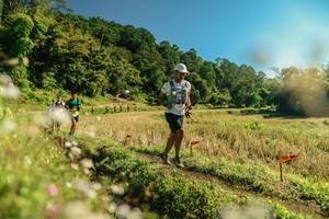 BIB: 
                            <button type="button" onclick="openModal(26679760)" class="btn btn-primary btn-sm float-right btn-popup" data-toggle="modal" data-target=".modal-high-quality">
                        <i class="fas fa-shopping-cart"></i> Add to Cart
                    </button>
                                            <button type="button" onclick="isThisMe(26679760, true)" class="btn btn-success btn-sm float-right btn-popup btn-isme hidden" data-toggle="tooltip" data-placement="bottom" title="นี่คือรูปของคุณใช่ไหม คลิกที่นี่เพื่อเอาเข้าอัลบั้ม">
                        <i class="fas fa-plus"></i> Add to album
                    </button>
                    <button type="button" onclick="isThisMe(26679760, false)" class="btn btn-warning btn-sm float-right btn-popup btn-isnotme hidden">
                        <i class="fas fa-ban"></i> Remove from album
                    </button>