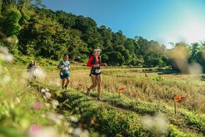 BIB: 
                            <button type="button" onclick="openModal(26636482)" class="btn btn-primary btn-sm float-right btn-popup" data-toggle="modal" data-target=".modal-high-quality">
                        <i class="fas fa-shopping-cart"></i> Add to Cart
                    </button>
                                            <button type="button" onclick="isThisMe(26636482, true)" class="btn btn-success btn-sm float-right btn-popup btn-isme hidden" data-toggle="tooltip" data-placement="bottom" title="นี่คือรูปของคุณใช่ไหม คลิกที่นี่เพื่อเอาเข้าอัลบั้ม">
                        <i class="fas fa-plus"></i> Add to album
                    </button>
                    <button type="button" onclick="isThisMe(26636482, false)" class="btn btn-warning btn-sm float-right btn-popup btn-isnotme hidden">
                        <i class="fas fa-ban"></i> Remove from album
                    </button>