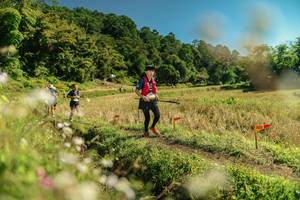 BIB: 
                            <button type="button" onclick="openModal(26699150)" class="btn btn-primary btn-sm float-right btn-popup" data-toggle="modal" data-target=".modal-high-quality">
                        <i class="fas fa-shopping-cart"></i> Add to Cart
                    </button>
                                            <button type="button" onclick="isThisMe(26699150, true)" class="btn btn-success btn-sm float-right btn-popup btn-isme hidden" data-toggle="tooltip" data-placement="bottom" title="นี่คือรูปของคุณใช่ไหม คลิกที่นี่เพื่อเอาเข้าอัลบั้ม">
                        <i class="fas fa-plus"></i> Add to album
                    </button>
                    <button type="button" onclick="isThisMe(26699150, false)" class="btn btn-warning btn-sm float-right btn-popup btn-isnotme hidden">
                        <i class="fas fa-ban"></i> Remove from album
                    </button>