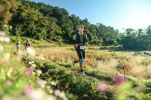 BIB: 
                            <button type="button" onclick="openModal(26633278)" class="btn btn-primary btn-sm float-right btn-popup" data-toggle="modal" data-target=".modal-high-quality">
                        <i class="fas fa-shopping-cart"></i> Add to Cart
                    </button>
                                            <button type="button" onclick="isThisMe(26633278, true)" class="btn btn-success btn-sm float-right btn-popup btn-isme hidden" data-toggle="tooltip" data-placement="bottom" title="นี่คือรูปของคุณใช่ไหม คลิกที่นี่เพื่อเอาเข้าอัลบั้ม">
                        <i class="fas fa-plus"></i> Add to album
                    </button>
                    <button type="button" onclick="isThisMe(26633278, false)" class="btn btn-warning btn-sm float-right btn-popup btn-isnotme hidden">
                        <i class="fas fa-ban"></i> Remove from album
                    </button>