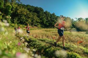 BIB: 
                            <button type="button" onclick="openModal(26636028)" class="btn btn-primary btn-sm float-right btn-popup" data-toggle="modal" data-target=".modal-high-quality">
                        <i class="fas fa-shopping-cart"></i> Add to Cart
                    </button>
                                            <button type="button" onclick="isThisMe(26636028, true)" class="btn btn-success btn-sm float-right btn-popup btn-isme hidden" data-toggle="tooltip" data-placement="bottom" title="นี่คือรูปของคุณใช่ไหม คลิกที่นี่เพื่อเอาเข้าอัลบั้ม">
                        <i class="fas fa-plus"></i> Add to album
                    </button>
                    <button type="button" onclick="isThisMe(26636028, false)" class="btn btn-warning btn-sm float-right btn-popup btn-isnotme hidden">
                        <i class="fas fa-ban"></i> Remove from album
                    </button>