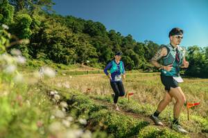 BIB: 
                            <button type="button" onclick="openModal(26703497)" class="btn btn-primary btn-sm float-right btn-popup" data-toggle="modal" data-target=".modal-high-quality">
                        <i class="fas fa-shopping-cart"></i> Add to Cart
                    </button>
                                            <button type="button" onclick="isThisMe(26703497, true)" class="btn btn-success btn-sm float-right btn-popup btn-isme hidden" data-toggle="tooltip" data-placement="bottom" title="นี่คือรูปของคุณใช่ไหม คลิกที่นี่เพื่อเอาเข้าอัลบั้ม">
                        <i class="fas fa-plus"></i> Add to album
                    </button>
                    <button type="button" onclick="isThisMe(26703497, false)" class="btn btn-warning btn-sm float-right btn-popup btn-isnotme hidden">
                        <i class="fas fa-ban"></i> Remove from album
                    </button>