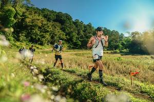 BIB: 
                            <button type="button" onclick="openModal(26638043)" class="btn btn-primary btn-sm float-right btn-popup" data-toggle="modal" data-target=".modal-high-quality">
                        <i class="fas fa-shopping-cart"></i> Add to Cart
                    </button>
                                            <button type="button" onclick="isThisMe(26638043, true)" class="btn btn-success btn-sm float-right btn-popup btn-isme hidden" data-toggle="tooltip" data-placement="bottom" title="นี่คือรูปของคุณใช่ไหม คลิกที่นี่เพื่อเอาเข้าอัลบั้ม">
                        <i class="fas fa-plus"></i> Add to album
                    </button>
                    <button type="button" onclick="isThisMe(26638043, false)" class="btn btn-warning btn-sm float-right btn-popup btn-isnotme hidden">
                        <i class="fas fa-ban"></i> Remove from album
                    </button>