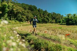 BIB: 
                            <button type="button" onclick="openModal(26726032)" class="btn btn-primary btn-sm float-right btn-popup" data-toggle="modal" data-target=".modal-high-quality">
                        <i class="fas fa-shopping-cart"></i> Add to Cart
                    </button>
                                            <button type="button" onclick="isThisMe(26726032, true)" class="btn btn-success btn-sm float-right btn-popup btn-isme hidden" data-toggle="tooltip" data-placement="bottom" title="นี่คือรูปของคุณใช่ไหม คลิกที่นี่เพื่อเอาเข้าอัลบั้ม">
                        <i class="fas fa-plus"></i> Add to album
                    </button>
                    <button type="button" onclick="isThisMe(26726032, false)" class="btn btn-warning btn-sm float-right btn-popup btn-isnotme hidden">
                        <i class="fas fa-ban"></i> Remove from album
                    </button>