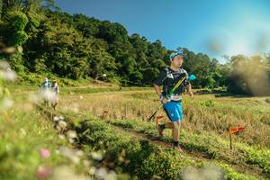 BIB: 
                            <button type="button" onclick="openModal(26652557)" class="btn btn-primary btn-sm float-right btn-popup" data-toggle="modal" data-target=".modal-high-quality">
                        <i class="fas fa-shopping-cart"></i> Add to Cart
                    </button>
                                            <button type="button" onclick="isThisMe(26652557, true)" class="btn btn-success btn-sm float-right btn-popup btn-isme hidden" data-toggle="tooltip" data-placement="bottom" title="นี่คือรูปของคุณใช่ไหม คลิกที่นี่เพื่อเอาเข้าอัลบั้ม">
                        <i class="fas fa-plus"></i> Add to album
                    </button>
                    <button type="button" onclick="isThisMe(26652557, false)" class="btn btn-warning btn-sm float-right btn-popup btn-isnotme hidden">
                        <i class="fas fa-ban"></i> Remove from album
                    </button>