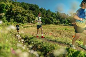 BIB: 
                            <button type="button" onclick="openModal(26698992)" class="btn btn-primary btn-sm float-right btn-popup" data-toggle="modal" data-target=".modal-high-quality">
                        <i class="fas fa-shopping-cart"></i> Add to Cart
                    </button>
                                            <button type="button" onclick="isThisMe(26698992, true)" class="btn btn-success btn-sm float-right btn-popup btn-isme hidden" data-toggle="tooltip" data-placement="bottom" title="นี่คือรูปของคุณใช่ไหม คลิกที่นี่เพื่อเอาเข้าอัลบั้ม">
                        <i class="fas fa-plus"></i> Add to album
                    </button>
                    <button type="button" onclick="isThisMe(26698992, false)" class="btn btn-warning btn-sm float-right btn-popup btn-isnotme hidden">
                        <i class="fas fa-ban"></i> Remove from album
                    </button>