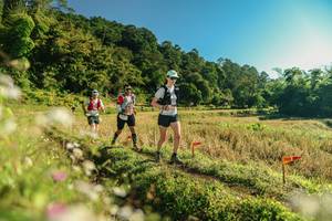 BIB: 
                            <button type="button" onclick="openModal(26637431)" class="btn btn-primary btn-sm float-right btn-popup" data-toggle="modal" data-target=".modal-high-quality">
                        <i class="fas fa-shopping-cart"></i> Add to Cart
                    </button>
                                            <button type="button" onclick="isThisMe(26637431, true)" class="btn btn-success btn-sm float-right btn-popup btn-isme hidden" data-toggle="tooltip" data-placement="bottom" title="นี่คือรูปของคุณใช่ไหม คลิกที่นี่เพื่อเอาเข้าอัลบั้ม">
                        <i class="fas fa-plus"></i> Add to album
                    </button>
                    <button type="button" onclick="isThisMe(26637431, false)" class="btn btn-warning btn-sm float-right btn-popup btn-isnotme hidden">
                        <i class="fas fa-ban"></i> Remove from album
                    </button>