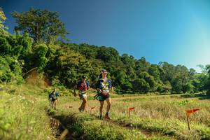 BIB: 
                            <button type="button" onclick="openModal(26693382)" class="btn btn-primary btn-sm float-right btn-popup" data-toggle="modal" data-target=".modal-high-quality">
                        <i class="fas fa-shopping-cart"></i> Add to Cart
                    </button>
                                            <button type="button" onclick="isThisMe(26693382, true)" class="btn btn-success btn-sm float-right btn-popup btn-isme hidden" data-toggle="tooltip" data-placement="bottom" title="นี่คือรูปของคุณใช่ไหม คลิกที่นี่เพื่อเอาเข้าอัลบั้ม">
                        <i class="fas fa-plus"></i> Add to album
                    </button>
                    <button type="button" onclick="isThisMe(26693382, false)" class="btn btn-warning btn-sm float-right btn-popup btn-isnotme hidden">
                        <i class="fas fa-ban"></i> Remove from album
                    </button>