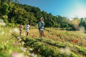 BIB: 
                            <button type="button" onclick="openModal(26636542)" class="btn btn-primary btn-sm float-right btn-popup" data-toggle="modal" data-target=".modal-high-quality">
                        <i class="fas fa-shopping-cart"></i> Add to Cart
                    </button>
                                            <button type="button" onclick="isThisMe(26636542, true)" class="btn btn-success btn-sm float-right btn-popup btn-isme hidden" data-toggle="tooltip" data-placement="bottom" title="นี่คือรูปของคุณใช่ไหม คลิกที่นี่เพื่อเอาเข้าอัลบั้ม">
                        <i class="fas fa-plus"></i> Add to album
                    </button>
                    <button type="button" onclick="isThisMe(26636542, false)" class="btn btn-warning btn-sm float-right btn-popup btn-isnotme hidden">
                        <i class="fas fa-ban"></i> Remove from album
                    </button>