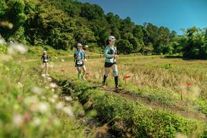 BIB: 
                            <button type="button" onclick="openModal(26722525)" class="btn btn-primary btn-sm float-right btn-popup" data-toggle="modal" data-target=".modal-high-quality">
                        <i class="fas fa-shopping-cart"></i> Add to Cart
                    </button>
                                            <button type="button" onclick="isThisMe(26722525, true)" class="btn btn-success btn-sm float-right btn-popup btn-isme hidden" data-toggle="tooltip" data-placement="bottom" title="นี่คือรูปของคุณใช่ไหม คลิกที่นี่เพื่อเอาเข้าอัลบั้ม">
                        <i class="fas fa-plus"></i> Add to album
                    </button>
                    <button type="button" onclick="isThisMe(26722525, false)" class="btn btn-warning btn-sm float-right btn-popup btn-isnotme hidden">
                        <i class="fas fa-ban"></i> Remove from album
                    </button>