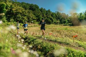 BIB: 
                            <button type="button" onclick="openModal(26698900)" class="btn btn-primary btn-sm float-right btn-popup" data-toggle="modal" data-target=".modal-high-quality">
                        <i class="fas fa-shopping-cart"></i> Add to Cart
                    </button>
                                            <button type="button" onclick="isThisMe(26698900, true)" class="btn btn-success btn-sm float-right btn-popup btn-isme hidden" data-toggle="tooltip" data-placement="bottom" title="นี่คือรูปของคุณใช่ไหม คลิกที่นี่เพื่อเอาเข้าอัลบั้ม">
                        <i class="fas fa-plus"></i> Add to album
                    </button>
                    <button type="button" onclick="isThisMe(26698900, false)" class="btn btn-warning btn-sm float-right btn-popup btn-isnotme hidden">
                        <i class="fas fa-ban"></i> Remove from album
                    </button>