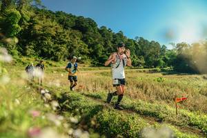 BIB: 
                            <button type="button" onclick="openModal(26638046)" class="btn btn-primary btn-sm float-right btn-popup" data-toggle="modal" data-target=".modal-high-quality">
                        <i class="fas fa-shopping-cart"></i> Add to Cart
                    </button>
                                            <button type="button" onclick="isThisMe(26638046, true)" class="btn btn-success btn-sm float-right btn-popup btn-isme hidden" data-toggle="tooltip" data-placement="bottom" title="นี่คือรูปของคุณใช่ไหม คลิกที่นี่เพื่อเอาเข้าอัลบั้ม">
                        <i class="fas fa-plus"></i> Add to album
                    </button>
                    <button type="button" onclick="isThisMe(26638046, false)" class="btn btn-warning btn-sm float-right btn-popup btn-isnotme hidden">
                        <i class="fas fa-ban"></i> Remove from album
                    </button>