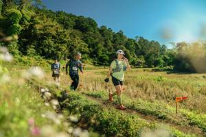 BIB: 
                            <button type="button" onclick="openModal(26690671)" class="btn btn-primary btn-sm float-right btn-popup" data-toggle="modal" data-target=".modal-high-quality">
                        <i class="fas fa-shopping-cart"></i> Add to Cart
                    </button>
                                            <button type="button" onclick="isThisMe(26690671, true)" class="btn btn-success btn-sm float-right btn-popup btn-isme hidden" data-toggle="tooltip" data-placement="bottom" title="นี่คือรูปของคุณใช่ไหม คลิกที่นี่เพื่อเอาเข้าอัลบั้ม">
                        <i class="fas fa-plus"></i> Add to album
                    </button>
                    <button type="button" onclick="isThisMe(26690671, false)" class="btn btn-warning btn-sm float-right btn-popup btn-isnotme hidden">
                        <i class="fas fa-ban"></i> Remove from album
                    </button>