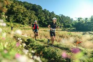 BIB: 
                            <button type="button" onclick="openModal(26633490)" class="btn btn-primary btn-sm float-right btn-popup" data-toggle="modal" data-target=".modal-high-quality">
                        <i class="fas fa-shopping-cart"></i> Add to Cart
                    </button>
                                            <button type="button" onclick="isThisMe(26633490, true)" class="btn btn-success btn-sm float-right btn-popup btn-isme hidden" data-toggle="tooltip" data-placement="bottom" title="นี่คือรูปของคุณใช่ไหม คลิกที่นี่เพื่อเอาเข้าอัลบั้ม">
                        <i class="fas fa-plus"></i> Add to album
                    </button>
                    <button type="button" onclick="isThisMe(26633490, false)" class="btn btn-warning btn-sm float-right btn-popup btn-isnotme hidden">
                        <i class="fas fa-ban"></i> Remove from album
                    </button>