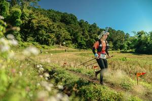 BIB: 
                            <button type="button" onclick="openModal(26710641)" class="btn btn-primary btn-sm float-right btn-popup" data-toggle="modal" data-target=".modal-high-quality">
                        <i class="fas fa-shopping-cart"></i> Add to Cart
                    </button>
                                            <button type="button" onclick="isThisMe(26710641, true)" class="btn btn-success btn-sm float-right btn-popup btn-isme hidden" data-toggle="tooltip" data-placement="bottom" title="นี่คือรูปของคุณใช่ไหม คลิกที่นี่เพื่อเอาเข้าอัลบั้ม">
                        <i class="fas fa-plus"></i> Add to album
                    </button>
                    <button type="button" onclick="isThisMe(26710641, false)" class="btn btn-warning btn-sm float-right btn-popup btn-isnotme hidden">
                        <i class="fas fa-ban"></i> Remove from album
                    </button>