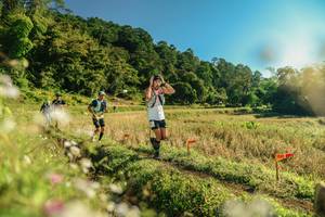 BIB: 
                            <button type="button" onclick="openModal(26638038)" class="btn btn-primary btn-sm float-right btn-popup" data-toggle="modal" data-target=".modal-high-quality">
                        <i class="fas fa-shopping-cart"></i> Add to Cart
                    </button>
                                            <button type="button" onclick="isThisMe(26638038, true)" class="btn btn-success btn-sm float-right btn-popup btn-isme hidden" data-toggle="tooltip" data-placement="bottom" title="นี่คือรูปของคุณใช่ไหม คลิกที่นี่เพื่อเอาเข้าอัลบั้ม">
                        <i class="fas fa-plus"></i> Add to album
                    </button>
                    <button type="button" onclick="isThisMe(26638038, false)" class="btn btn-warning btn-sm float-right btn-popup btn-isnotme hidden">
                        <i class="fas fa-ban"></i> Remove from album
                    </button>