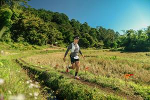 BIB: 
                            <button type="button" onclick="openModal(26697107)" class="btn btn-primary btn-sm float-right btn-popup" data-toggle="modal" data-target=".modal-high-quality">
                        <i class="fas fa-shopping-cart"></i> Add to Cart
                    </button>
                                            <button type="button" onclick="isThisMe(26697107, true)" class="btn btn-success btn-sm float-right btn-popup btn-isme hidden" data-toggle="tooltip" data-placement="bottom" title="นี่คือรูปของคุณใช่ไหม คลิกที่นี่เพื่อเอาเข้าอัลบั้ม">
                        <i class="fas fa-plus"></i> Add to album
                    </button>
                    <button type="button" onclick="isThisMe(26697107, false)" class="btn btn-warning btn-sm float-right btn-popup btn-isnotme hidden">
                        <i class="fas fa-ban"></i> Remove from album
                    </button>