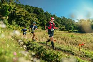 BIB: 
                            <button type="button" onclick="openModal(26679444)" class="btn btn-primary btn-sm float-right btn-popup" data-toggle="modal" data-target=".modal-high-quality">
                        <i class="fas fa-shopping-cart"></i> Add to Cart
                    </button>
                                            <button type="button" onclick="isThisMe(26679444, true)" class="btn btn-success btn-sm float-right btn-popup btn-isme hidden" data-toggle="tooltip" data-placement="bottom" title="นี่คือรูปของคุณใช่ไหม คลิกที่นี่เพื่อเอาเข้าอัลบั้ม">
                        <i class="fas fa-plus"></i> Add to album
                    </button>
                    <button type="button" onclick="isThisMe(26679444, false)" class="btn btn-warning btn-sm float-right btn-popup btn-isnotme hidden">
                        <i class="fas fa-ban"></i> Remove from album
                    </button>