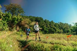 BIB: 
                            <button type="button" onclick="openModal(26694279)" class="btn btn-primary btn-sm float-right btn-popup" data-toggle="modal" data-target=".modal-high-quality">
                        <i class="fas fa-shopping-cart"></i> Add to Cart
                    </button>
                                            <button type="button" onclick="isThisMe(26694279, true)" class="btn btn-success btn-sm float-right btn-popup btn-isme hidden" data-toggle="tooltip" data-placement="bottom" title="นี่คือรูปของคุณใช่ไหม คลิกที่นี่เพื่อเอาเข้าอัลบั้ม">
                        <i class="fas fa-plus"></i> Add to album
                    </button>
                    <button type="button" onclick="isThisMe(26694279, false)" class="btn btn-warning btn-sm float-right btn-popup btn-isnotme hidden">
                        <i class="fas fa-ban"></i> Remove from album
                    </button>