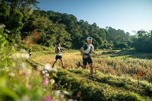 BIB: 
                            <button type="button" onclick="openModal(26631498)" class="btn btn-primary btn-sm float-right btn-popup" data-toggle="modal" data-target=".modal-high-quality">
                        <i class="fas fa-shopping-cart"></i> Add to Cart
                    </button>
                                            <button type="button" onclick="isThisMe(26631498, true)" class="btn btn-success btn-sm float-right btn-popup btn-isme hidden" data-toggle="tooltip" data-placement="bottom" title="นี่คือรูปของคุณใช่ไหม คลิกที่นี่เพื่อเอาเข้าอัลบั้ม">
                        <i class="fas fa-plus"></i> Add to album
                    </button>
                    <button type="button" onclick="isThisMe(26631498, false)" class="btn btn-warning btn-sm float-right btn-popup btn-isnotme hidden">
                        <i class="fas fa-ban"></i> Remove from album
                    </button>