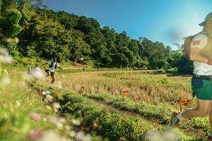 BIB: 
                            <button type="button" onclick="openModal(26638257)" class="btn btn-primary btn-sm float-right btn-popup" data-toggle="modal" data-target=".modal-high-quality">
                        <i class="fas fa-shopping-cart"></i> Add to Cart
                    </button>
                                            <button type="button" onclick="isThisMe(26638257, true)" class="btn btn-success btn-sm float-right btn-popup btn-isme hidden" data-toggle="tooltip" data-placement="bottom" title="นี่คือรูปของคุณใช่ไหม คลิกที่นี่เพื่อเอาเข้าอัลบั้ม">
                        <i class="fas fa-plus"></i> Add to album
                    </button>
                    <button type="button" onclick="isThisMe(26638257, false)" class="btn btn-warning btn-sm float-right btn-popup btn-isnotme hidden">
                        <i class="fas fa-ban"></i> Remove from album
                    </button>