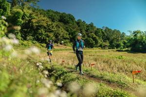 BIB: 
                            <button type="button" onclick="openModal(26705707)" class="btn btn-primary btn-sm float-right btn-popup" data-toggle="modal" data-target=".modal-high-quality">
                        <i class="fas fa-shopping-cart"></i> Add to Cart
                    </button>
                                            <button type="button" onclick="isThisMe(26705707, true)" class="btn btn-success btn-sm float-right btn-popup btn-isme hidden" data-toggle="tooltip" data-placement="bottom" title="นี่คือรูปของคุณใช่ไหม คลิกที่นี่เพื่อเอาเข้าอัลบั้ม">
                        <i class="fas fa-plus"></i> Add to album
                    </button>
                    <button type="button" onclick="isThisMe(26705707, false)" class="btn btn-warning btn-sm float-right btn-popup btn-isnotme hidden">
                        <i class="fas fa-ban"></i> Remove from album
                    </button>