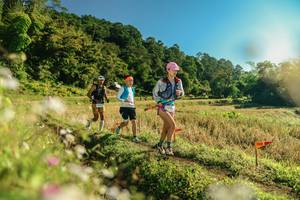 BIB: 
                            <button type="button" onclick="openModal(26637656)" class="btn btn-primary btn-sm float-right btn-popup" data-toggle="modal" data-target=".modal-high-quality">
                        <i class="fas fa-shopping-cart"></i> Add to Cart
                    </button>
                                            <button type="button" onclick="isThisMe(26637656, true)" class="btn btn-success btn-sm float-right btn-popup btn-isme hidden" data-toggle="tooltip" data-placement="bottom" title="นี่คือรูปของคุณใช่ไหม คลิกที่นี่เพื่อเอาเข้าอัลบั้ม">
                        <i class="fas fa-plus"></i> Add to album
                    </button>
                    <button type="button" onclick="isThisMe(26637656, false)" class="btn btn-warning btn-sm float-right btn-popup btn-isnotme hidden">
                        <i class="fas fa-ban"></i> Remove from album
                    </button>