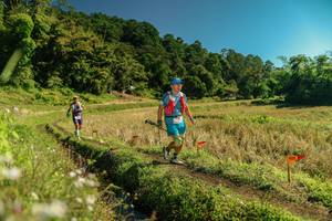 BIB: 
                            <button type="button" onclick="openModal(26697297)" class="btn btn-primary btn-sm float-right btn-popup" data-toggle="modal" data-target=".modal-high-quality">
                        <i class="fas fa-shopping-cart"></i> Add to Cart
                    </button>
                                            <button type="button" onclick="isThisMe(26697297, true)" class="btn btn-success btn-sm float-right btn-popup btn-isme hidden" data-toggle="tooltip" data-placement="bottom" title="นี่คือรูปของคุณใช่ไหม คลิกที่นี่เพื่อเอาเข้าอัลบั้ม">
                        <i class="fas fa-plus"></i> Add to album
                    </button>
                    <button type="button" onclick="isThisMe(26697297, false)" class="btn btn-warning btn-sm float-right btn-popup btn-isnotme hidden">
                        <i class="fas fa-ban"></i> Remove from album
                    </button>