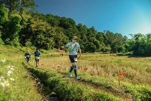 BIB: 
                            <button type="button" onclick="openModal(26694474)" class="btn btn-primary btn-sm float-right btn-popup" data-toggle="modal" data-target=".modal-high-quality">
                        <i class="fas fa-shopping-cart"></i> Add to Cart
                    </button>
                                            <button type="button" onclick="isThisMe(26694474, true)" class="btn btn-success btn-sm float-right btn-popup btn-isme hidden" data-toggle="tooltip" data-placement="bottom" title="นี่คือรูปของคุณใช่ไหม คลิกที่นี่เพื่อเอาเข้าอัลบั้ม">
                        <i class="fas fa-plus"></i> Add to album
                    </button>
                    <button type="button" onclick="isThisMe(26694474, false)" class="btn btn-warning btn-sm float-right btn-popup btn-isnotme hidden">
                        <i class="fas fa-ban"></i> Remove from album
                    </button>