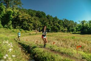 BIB: 
                            <button type="button" onclick="openModal(26716675)" class="btn btn-primary btn-sm float-right btn-popup" data-toggle="modal" data-target=".modal-high-quality">
                        <i class="fas fa-shopping-cart"></i> Add to Cart
                    </button>
                                            <button type="button" onclick="isThisMe(26716675, true)" class="btn btn-success btn-sm float-right btn-popup btn-isme hidden" data-toggle="tooltip" data-placement="bottom" title="นี่คือรูปของคุณใช่ไหม คลิกที่นี่เพื่อเอาเข้าอัลบั้ม">
                        <i class="fas fa-plus"></i> Add to album
                    </button>
                    <button type="button" onclick="isThisMe(26716675, false)" class="btn btn-warning btn-sm float-right btn-popup btn-isnotme hidden">
                        <i class="fas fa-ban"></i> Remove from album
                    </button>